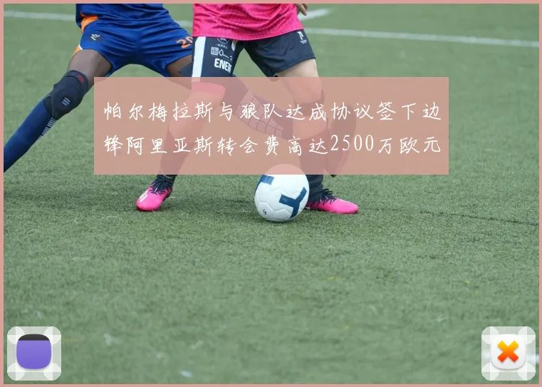 帕尔梅拉斯与狼队达成协议签下边锋阿里亚斯转会费高达2500万欧元