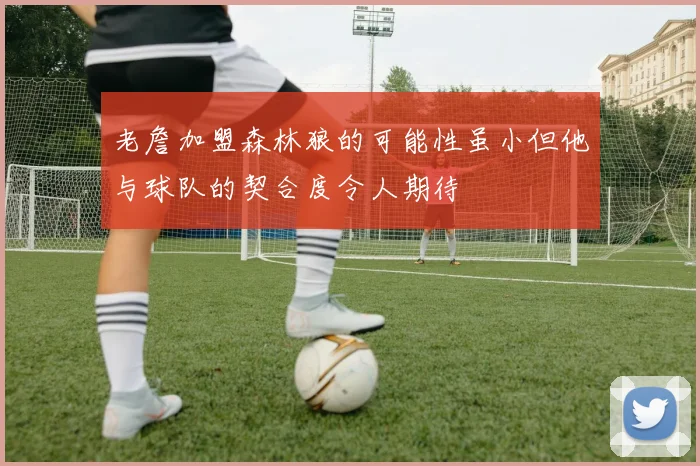 老詹加盟森林狼的可能性虽小但他与球队的契合度令人期待
